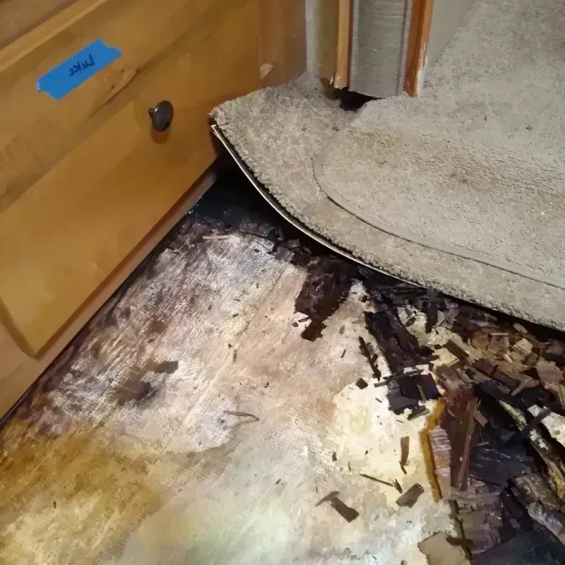 Wood Floor Water Damage in Centennial, CO